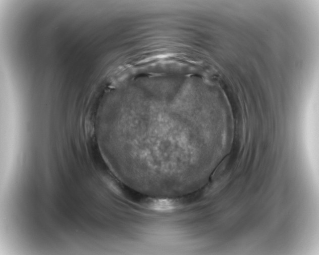 X0000084560091200703161712