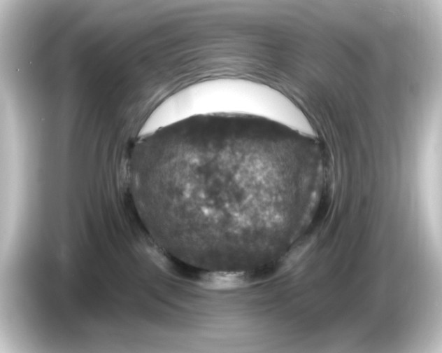 X0000084560093200703161712