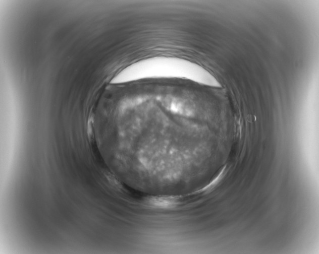 X0000084560094200703161712