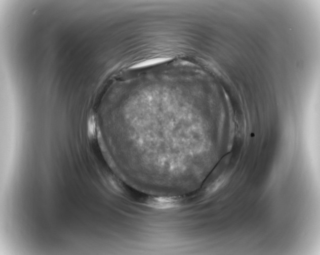 X0000084560095200703161712