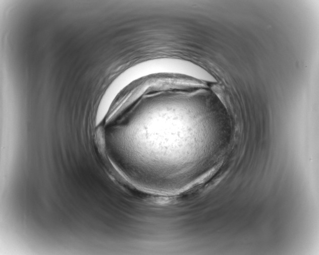 X0000084560096200703161712