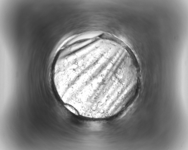 X0000084560103200703161711