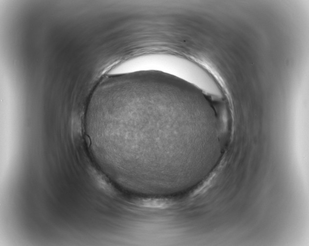 X0000084560105200703161711