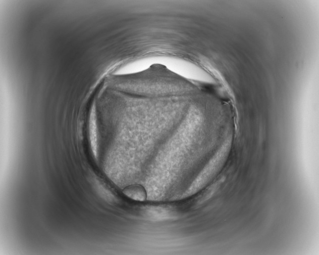 X0000084560106200703161711