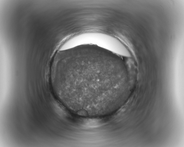 X0000084560107200703161711