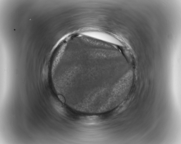 X0000084560108200703161711