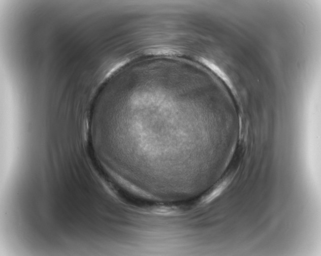 X0000084560109200703161711