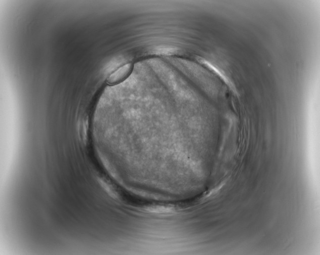 X0000084560110200703161711