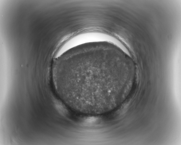 X0000084560111200703161711