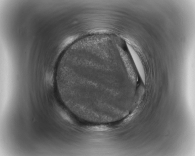 X0000084560112200703161711