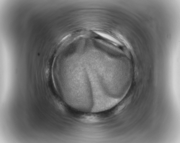 X0000084560113200703161711