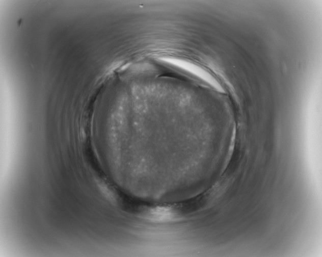 X0000084560114200703161711