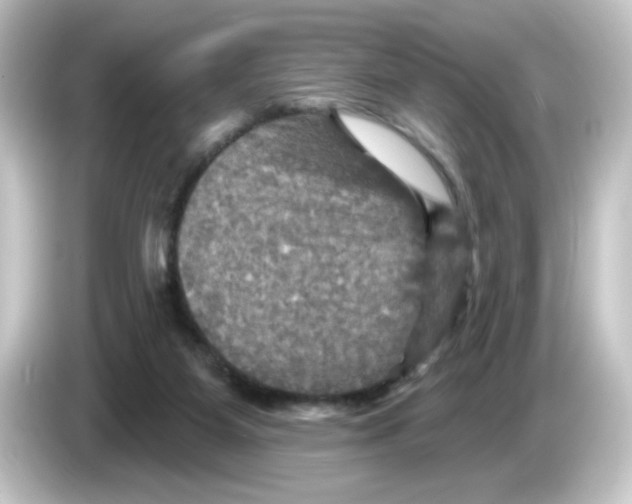 X0000084560115200703161711