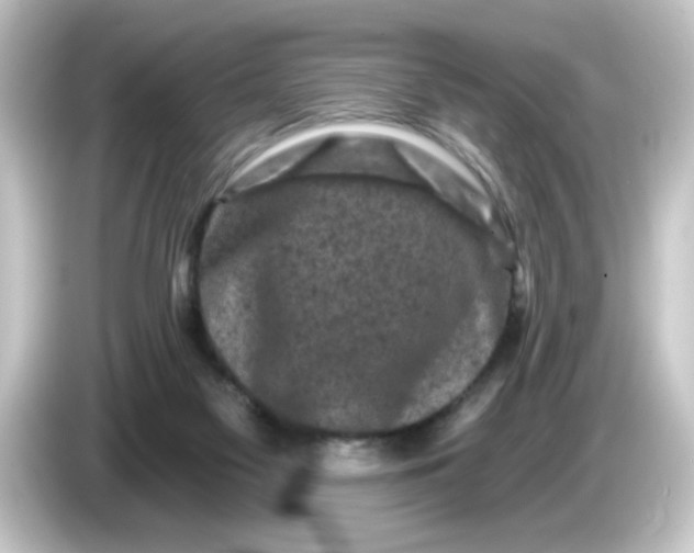 X0000084560117200703161711