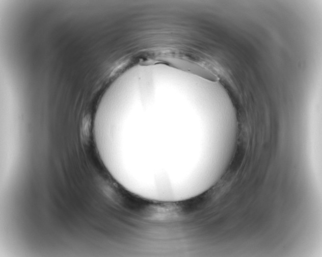 X0000084560118200703161711