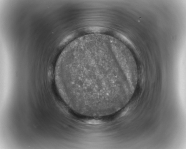 X0000084560119200703161711