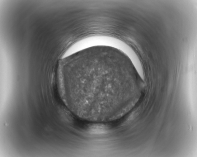 X0000084560123200703161711