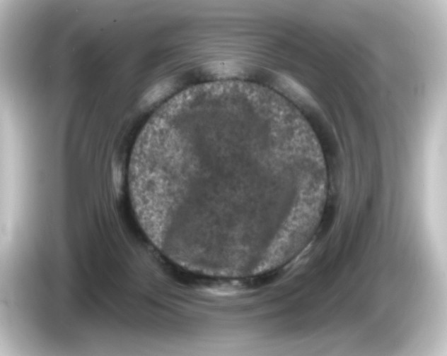 X0000084560124200703161711