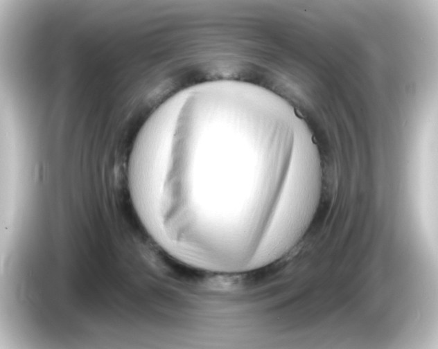 X0000084560126200703161711