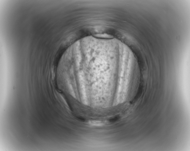 X0000084560129200703161711