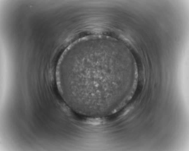 X0000084560131200703161711