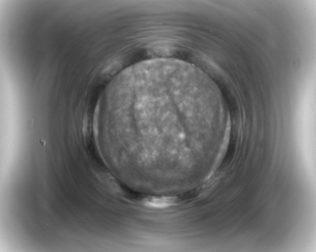 X0000084560134200703161711