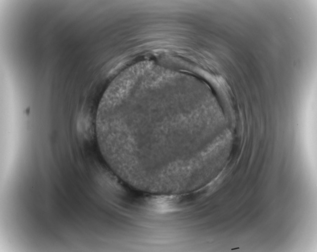 X0000084560136200703161711