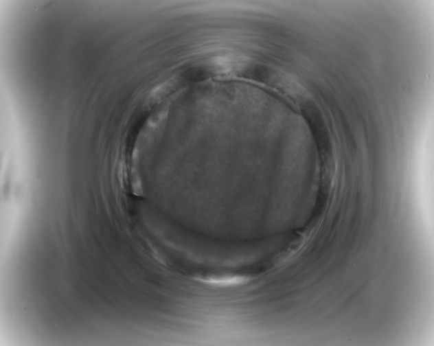 X0000084560137200703161711