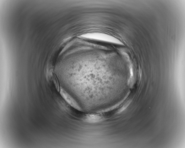 X0000084560141200703161711