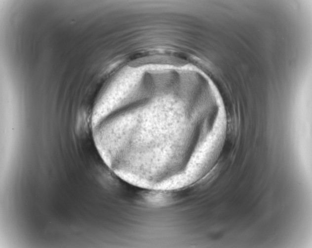 X0000084560142200703161711