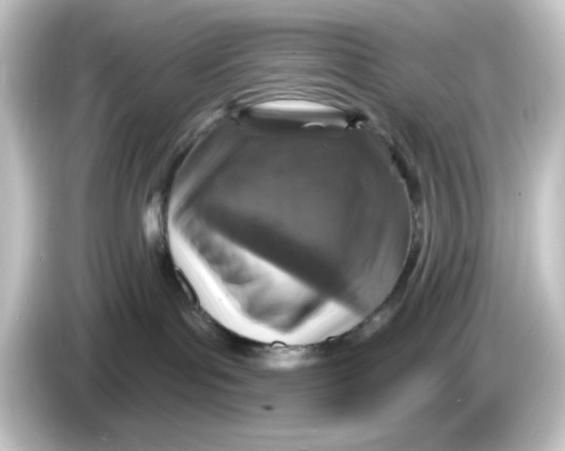 X0000084560143200703161711