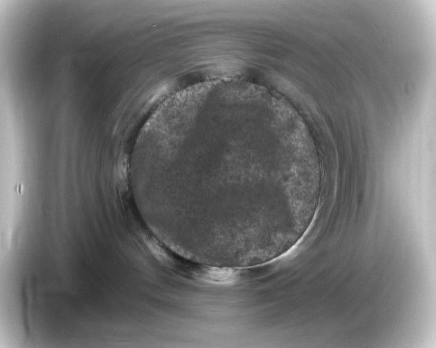 X0000084560144200703161711