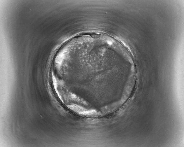 X0000084560145200703161710