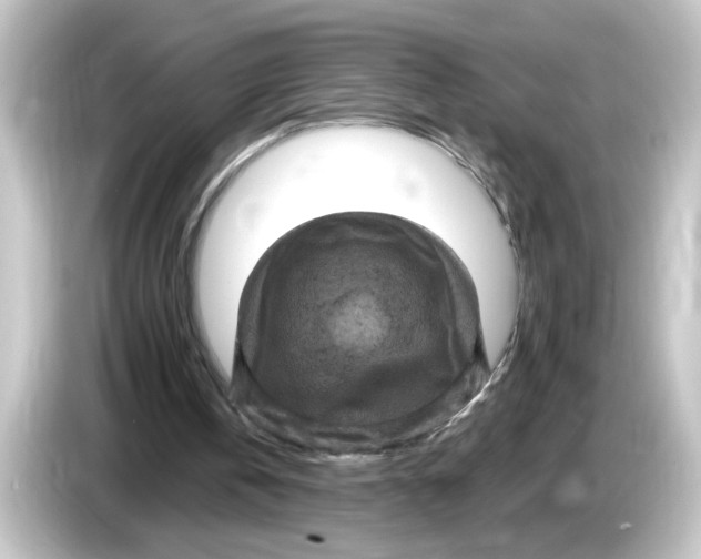 X0000084560146200703161710