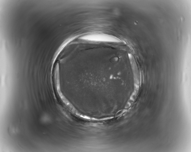 X0000084560147200703161710