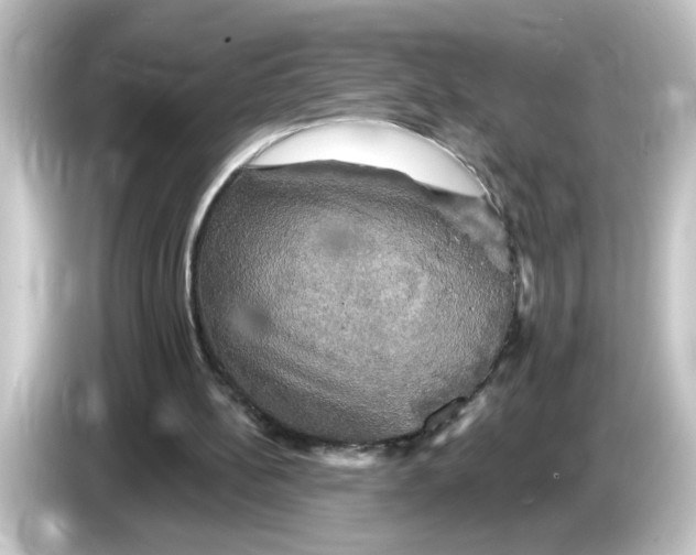 X0000084560148200703161710