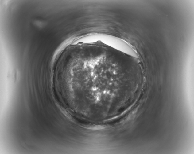 X0000084560149200703161710