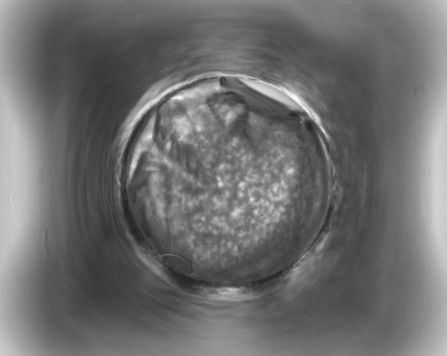 X0000084560151200703161710