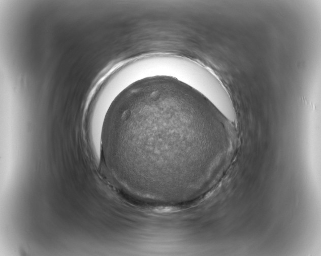 X0000084560152200703161710