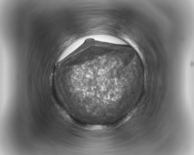 X0000084560153200703161710