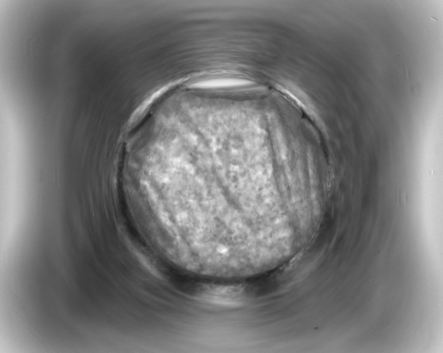 X0000084560155200703161710