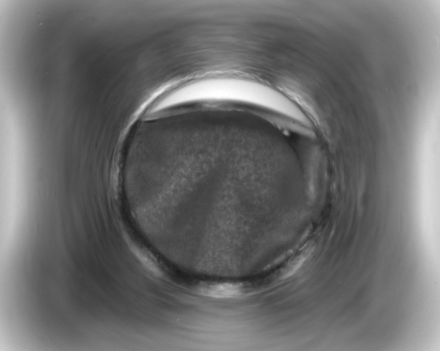 X0000084560156200703161710