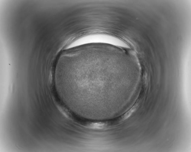 X0000084560158200703161710