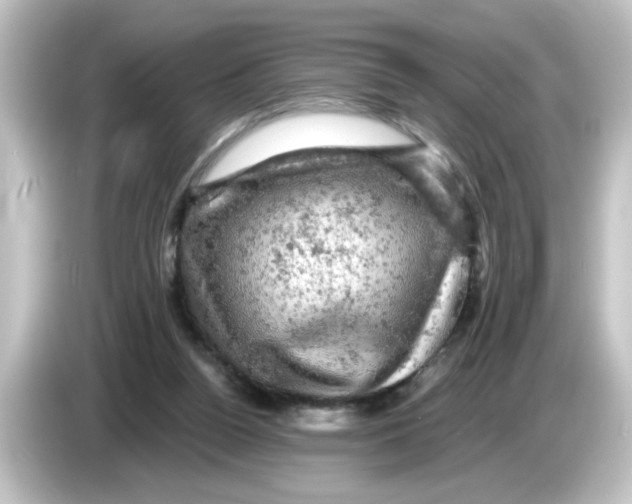 X0000084560160200703161710