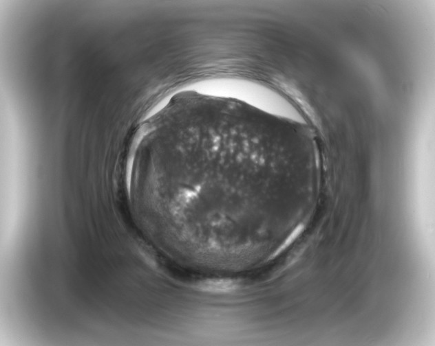 X0000084560161200703161710