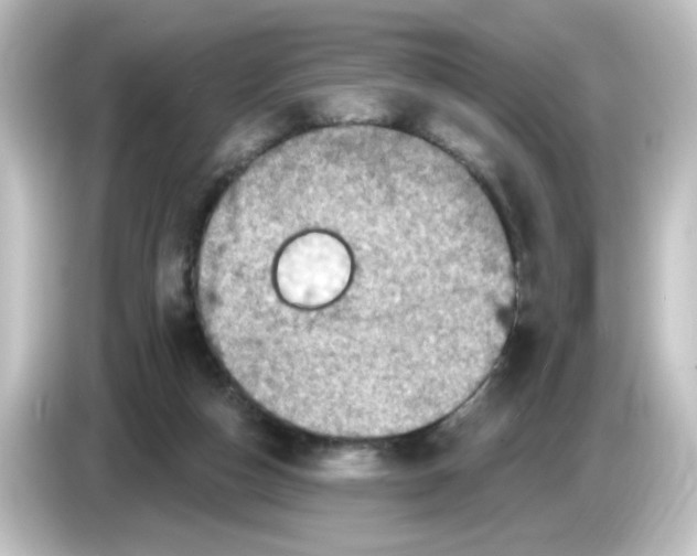 X0000084560162200703161710