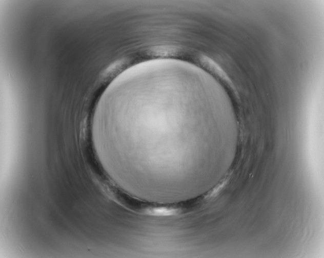 X0000084560163200703161710