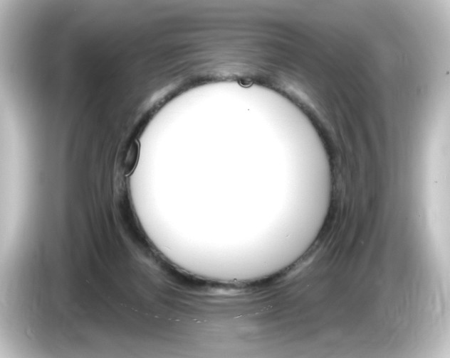 X0000084560164200703161710