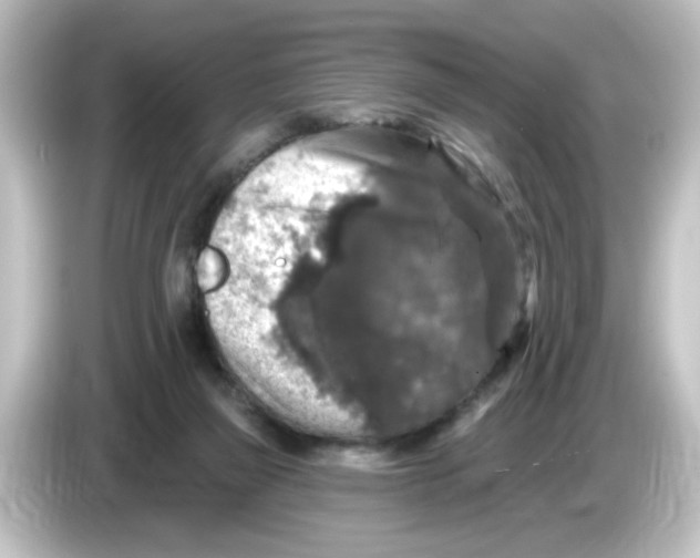 X0000084560165200703161710