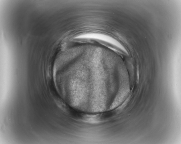 X0000084560170200703161711